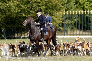 Compiegne 2018 00184