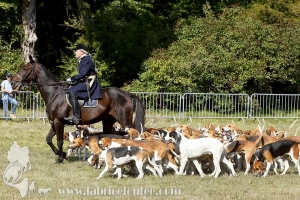 Compiegne 2018 00186
