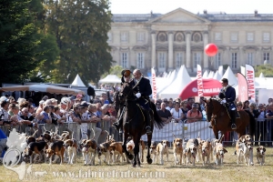 Compiegne 2018 00189