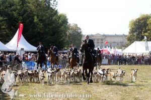 Compiegne 2018 00190