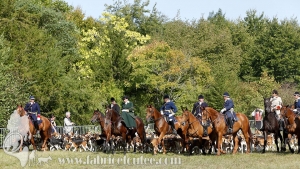 Compiegne 2018 00192