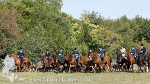 Compiegne 2018 00193