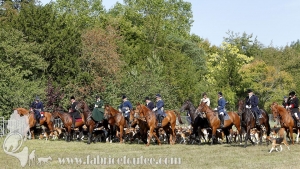 Compiegne 2018 00194