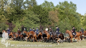 Compiegne 2018 00195