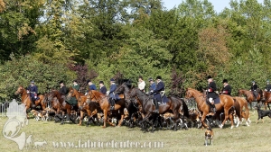 Compiegne 2018 00196