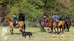 Compiegne 2018 00198