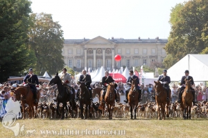 Compiegne 2018 00201