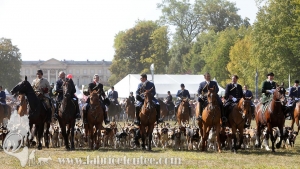 Compiegne 2018 00203