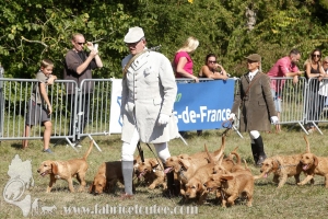Compiegne 2018 00230