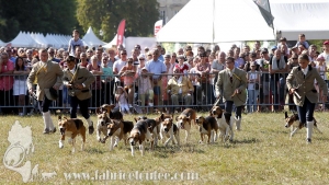 Compiegne 2018 00246