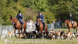 Compiegne 2018 00266