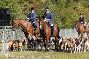Compiegne 2018 00267