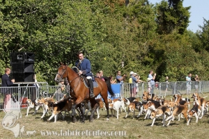 Compiegne 2018 00274