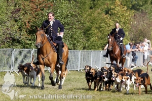 Compiegne 2018 00277