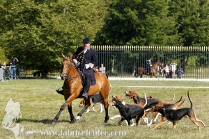 Compiegne 2018 00281