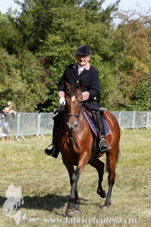 Compiegne 2018 00286