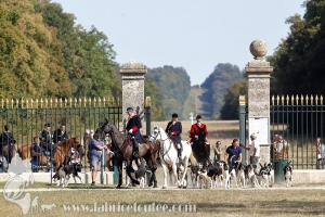 Compiegne 2018 00288