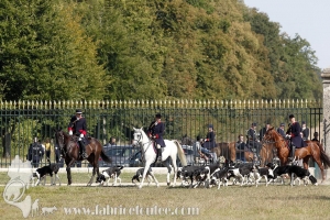 Compiegne 2018 00290