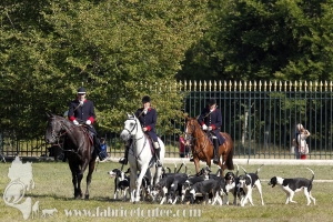Compiegne 2018 00291