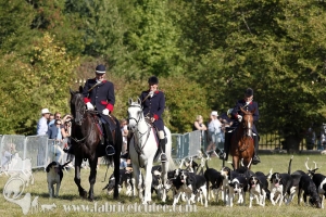 Compiegne 2018 00293