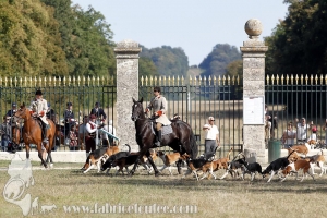 Compiegne 2018 00305