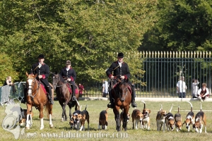 Compiegne 2018 00320