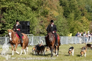 Compiegne 2018 00322
