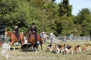 Compiegne 2018 00325