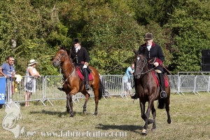 Compiegne 2018 00331