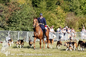 Compiegne 2018 00338