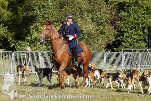 Compiegne 2018 00339