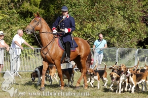 Compiegne 2018 00340