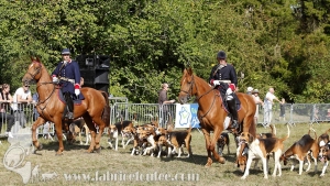 Compiegne 2018 00341