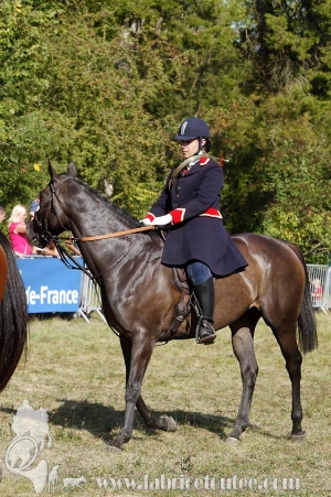 Compiegne 2018 00343