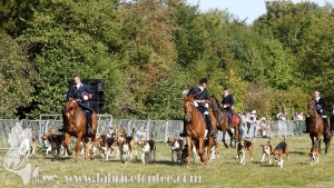 Compiegne 2018 00344