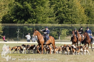 Compiegne 2018 00351