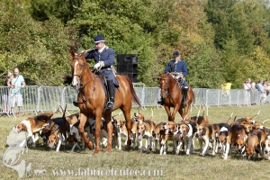Compiegne 2018 00354