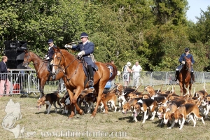Compiegne 2018 00355