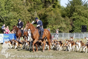 Compiegne 2018 00362
