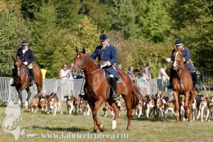 Compiegne 2018 00368