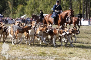 Compiegne 2018 00369