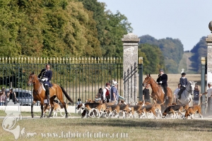 Compiegne 2018 00370