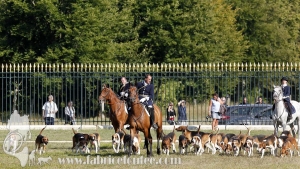 Compiegne 2018 00371