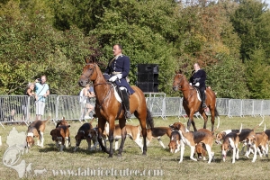 Compiegne 2018 00373