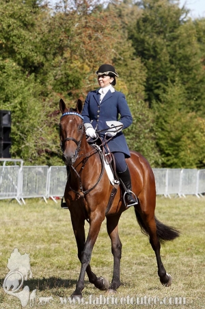 Compiegne 2018 00375