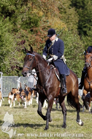 Compiegne 2018 00379