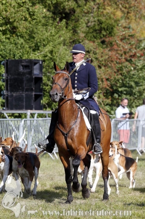 Compiegne 2018 00380