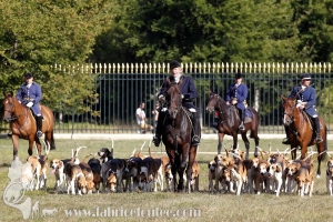 Compiegne 2018 00383