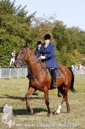 Compiegne 2018 00391