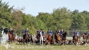 Compiegne 2018 00395